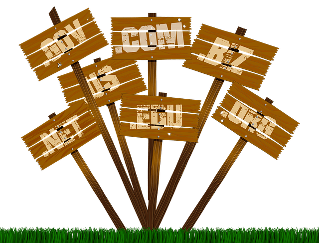 Dominio e alojamento web